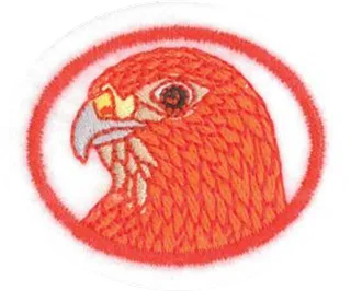 Raptors patch