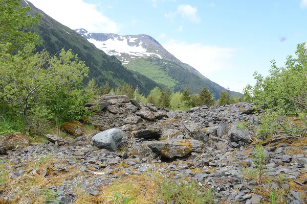 Recessional moraine 9827