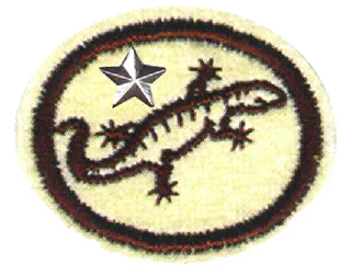 Reptiles - Advanced patch
