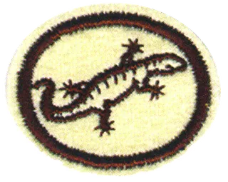 Reptiles patch