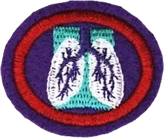 Respiratory System patch