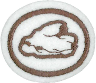 Rocks & Minerals patch