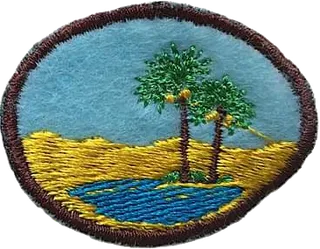 Sahara patch