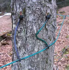 Taps connected with tubing.