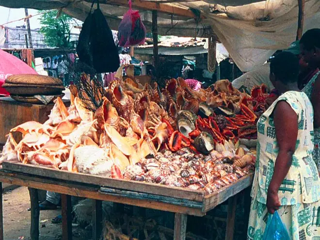 Seashell vendor