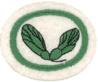 Seeds patch