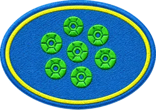 Sequin Pictures patch