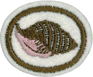 Shells patch