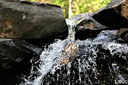 Shutter speed waterfall