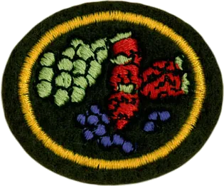 Small Fruit Growing patch