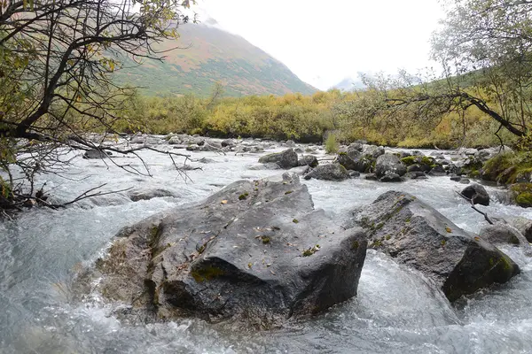 Small Glacial Erratics