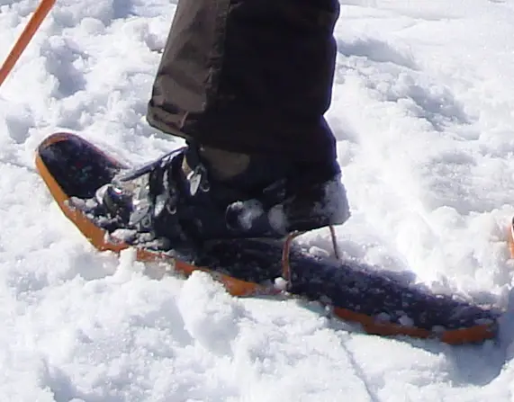 Snowshoe heel lift cropped