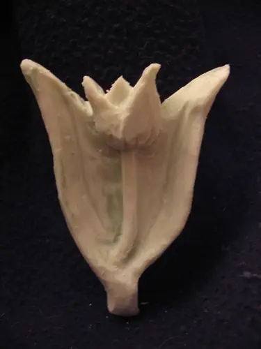 Soap carved tulip