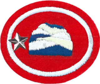 Soap Making - Advanced patch