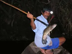 Spearfishing (Peru)