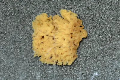 Sponge TMM 0899