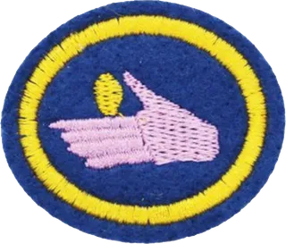 Stewardship patch
