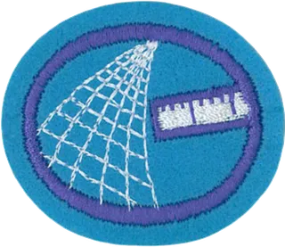 String Art patch