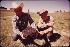 SUB-BITUMINOUS COAL LIKE THE PIECE JOHN REDDING IS HOLDING LIES UNDER THE SURFACE OF SOME 25,000 SQUARE MILES OF... - NARA - 549121