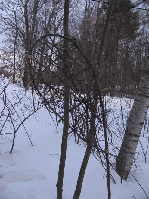 Survival snowshoes 7305