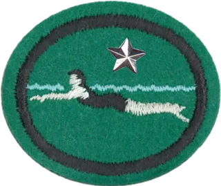 Swimming - Beginner - Advanced patch