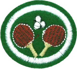 Table Tennis patch