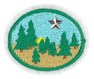 Taiga - Advanced patch