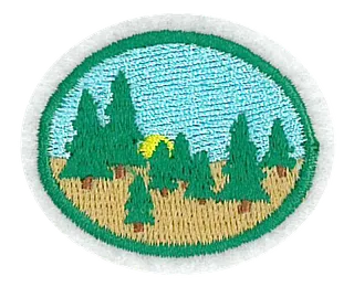 Taiga patch