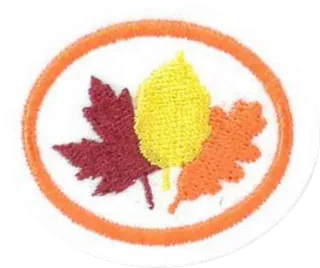 Temperate Deciduous Forests patch
