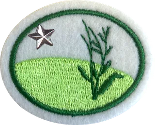 Temperate Grasslands - Advanced patch