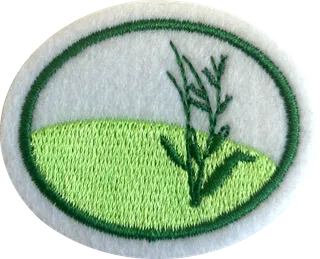 Temperate Grasslands patch