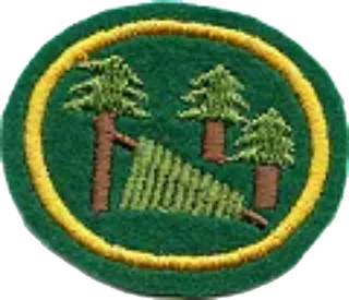 Temporary Shelters patch