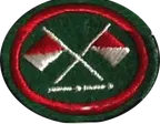 Old Communications patch