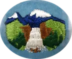 Old Environmental Conservation patch
