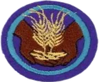 Old Feeding Ministries patch