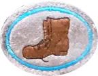 Old Shoe Repair patch
