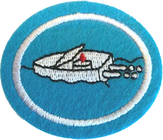 Toy Boat Regatta patch