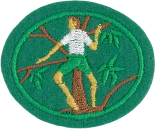 Tree Climbing patch
