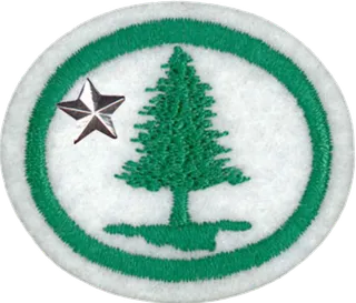 Trees - Advanced patch