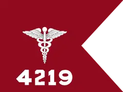 USA - Guidon - Medical