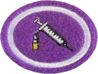 Vaccines patch