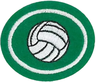 Volleyball patch