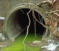 (11) Stores or small factories dumping their wastes into the stream
