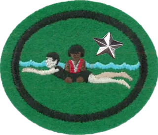 Water Safety Instructor - Advanced patch