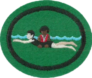 Water Safety Instructor patch