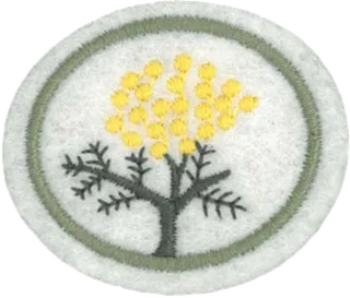 Wattles patch