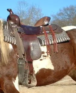 WesternSaddle2