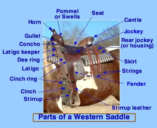WesternSaddleParts