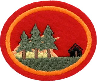 Wildfire Preparation and Prevention patch