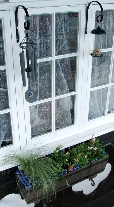 Window box